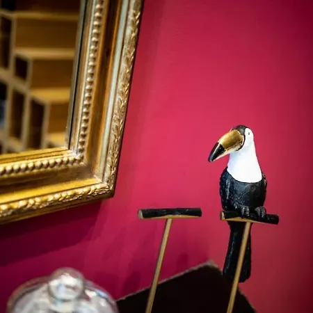 Swimcasalille Loft Piscine Interieure 10 Mn Gares *