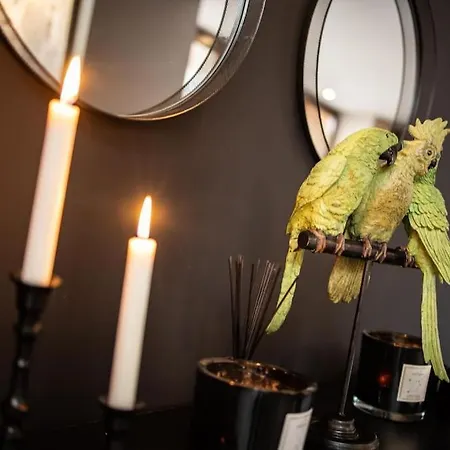 Swimcasalille Loft Piscine Interieure 10 Mn Gares *