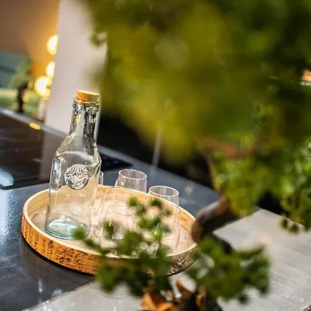 Swimcasalille Loft Piscine Interieure 10 Mn Gares * La Madeleine (Nord)