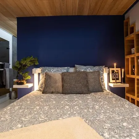 Swimcasalille Loft Piscine Interieure 10 Mn Gares *